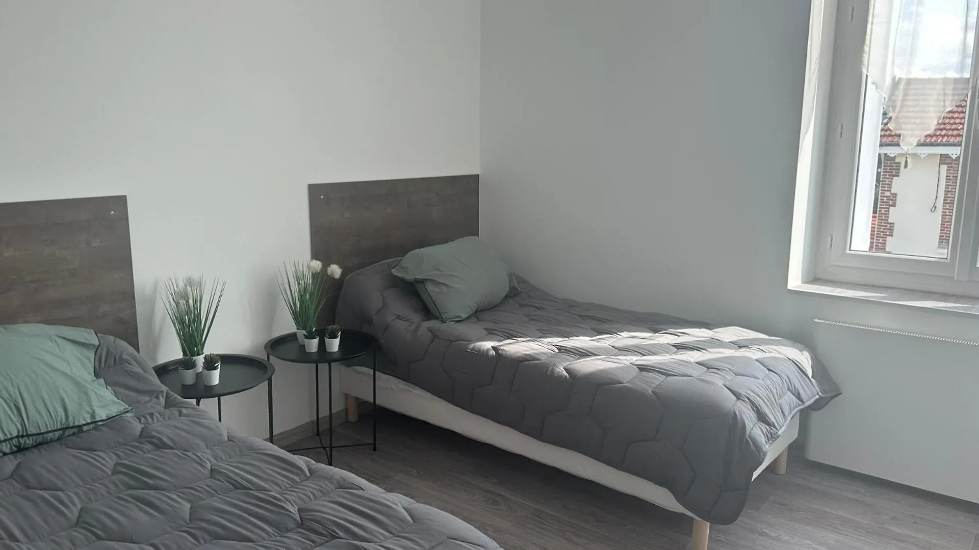 Apartment Appartement Confortable Andrezieux Boutheon