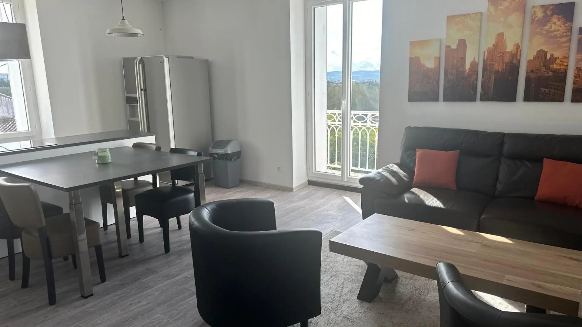 Appartement Confortable Andrezieux Boutheon